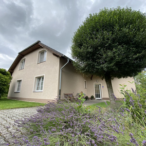 Vila Heda fotografie 23